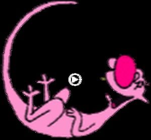 Meet your Posher, Leeann